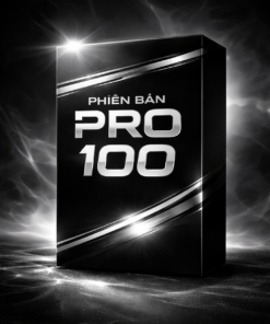 Phiên bản PRO 100